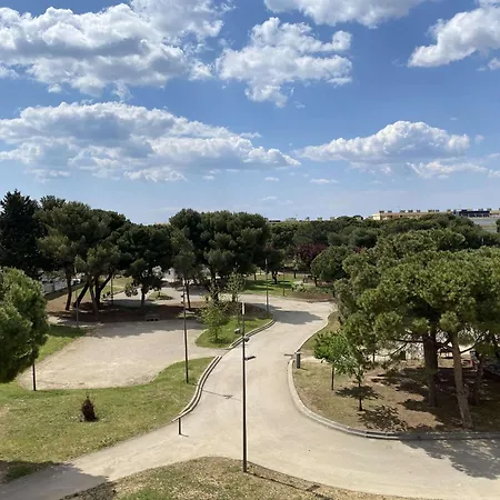 Apartment T1 Avec Balcon, Clim, Wifi, Animaux Ok A - Fr-1-553-199