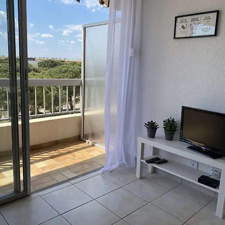 Apartment T1 Avec Balcon, Clim, Wifi, Animaux Ok A - Fr-1-553-199