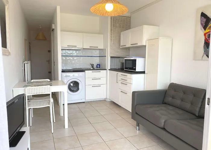 T1 Avec Balcon, Clim, Wifi, Animaux Ok A - Fr-1-553-199 Apartmán *