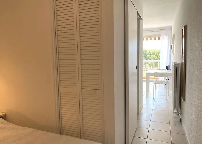 T1 Avec Balcon, Clim, Wifi, Animaux Ok A - Fr-1-553-199