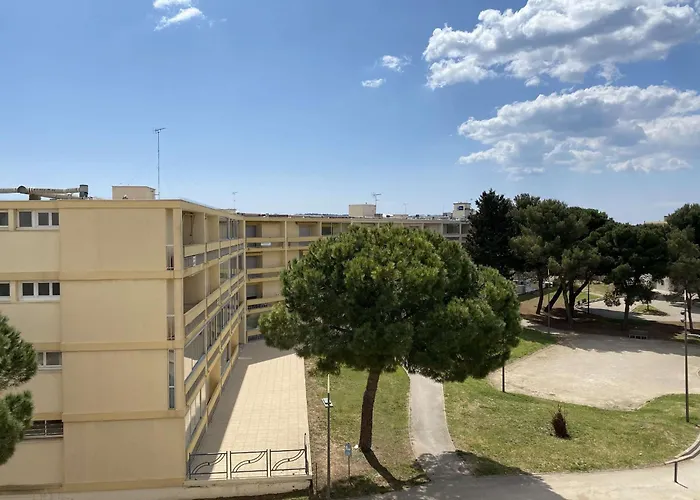 T1 Avec Balcon, Clim, Wifi, Animaux Ok A - Fr-1-553-199
