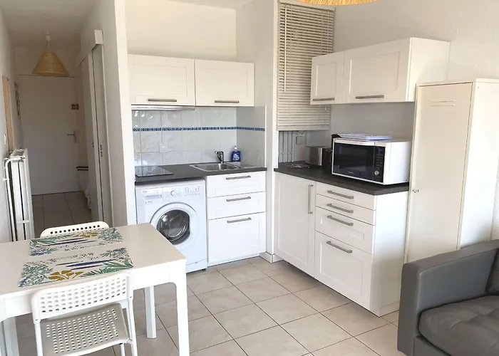 T1 Avec Balcon, Clim, Wifi, Animaux Ok A - Fr-1-553-199 Balaruc-les-Bains