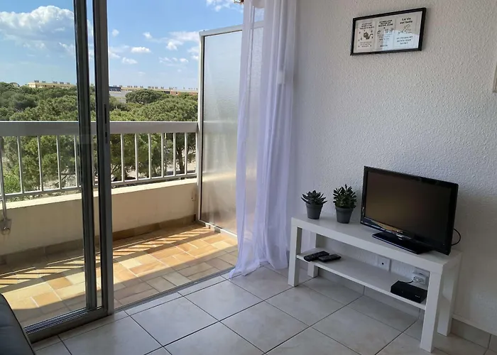 Apartmán T1 Avec Balcon, Clim, Wifi, Animaux Ok A - Fr-1-553-199